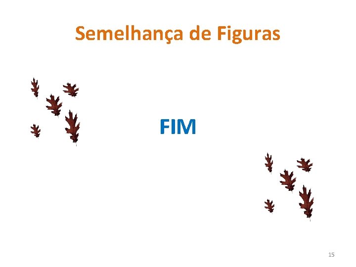 Semelhança de Figuras FIM 15 