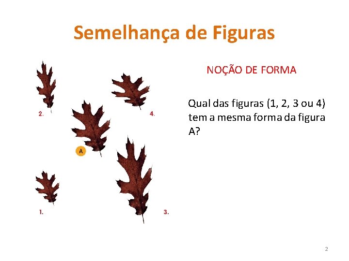 Semelhança de Figuras NOÇÃO DE FORMA Qual das figuras (1, 2, 3 ou 4)