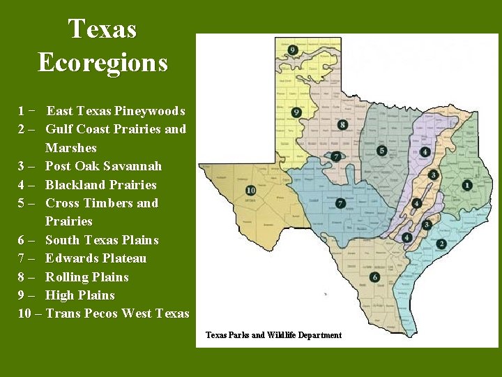 Texas Ecoregions 1 − East Texas Pineywoods 2 – Gulf Coast Prairies and Marshes