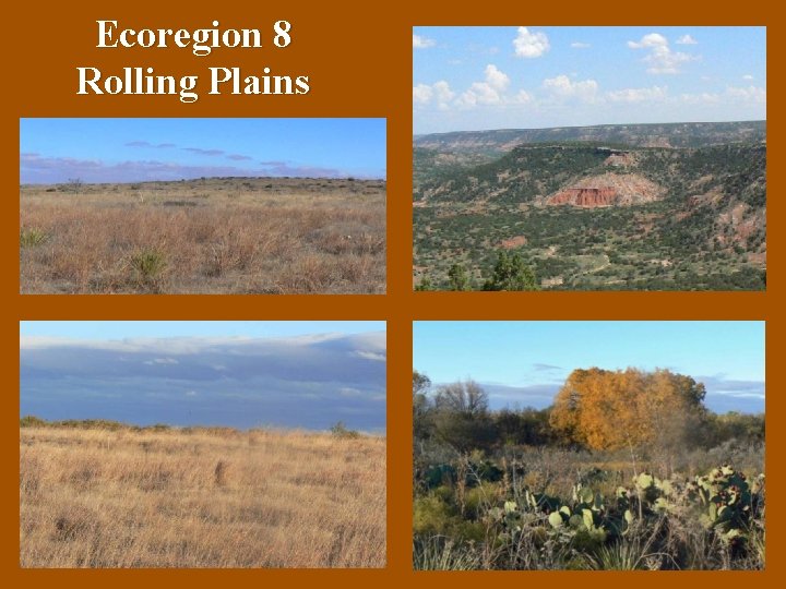 Ecoregion 8 Rolling Plains 