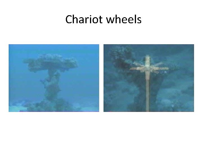 Chariot wheels 