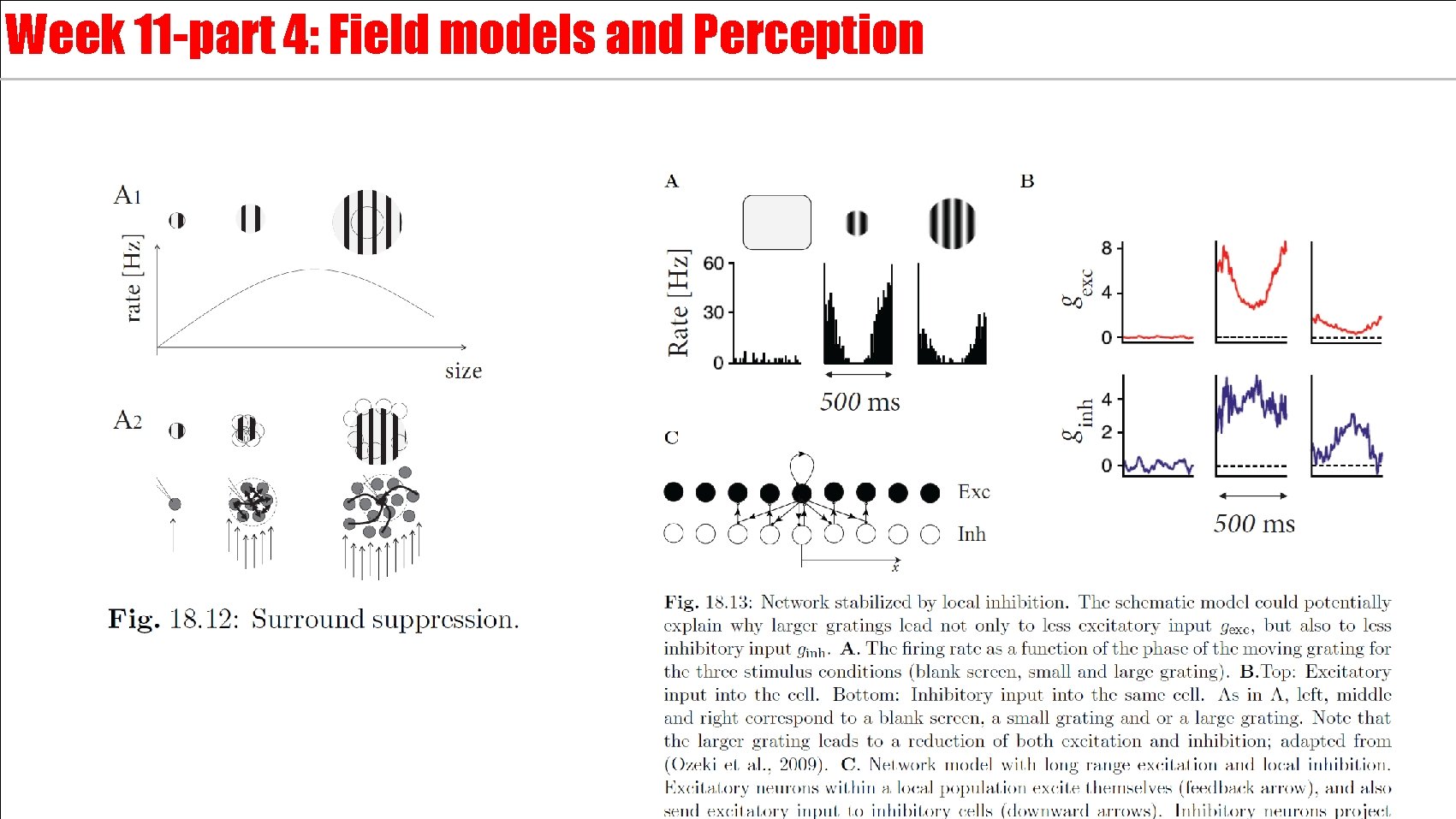 Week 11 -part 4: Field models and Perception 
