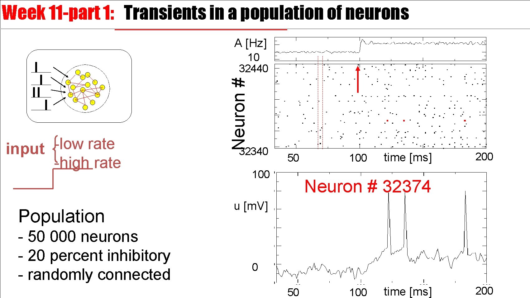 Week 11 -part 1: Transients in a population of neurons A [Hz] -low rate