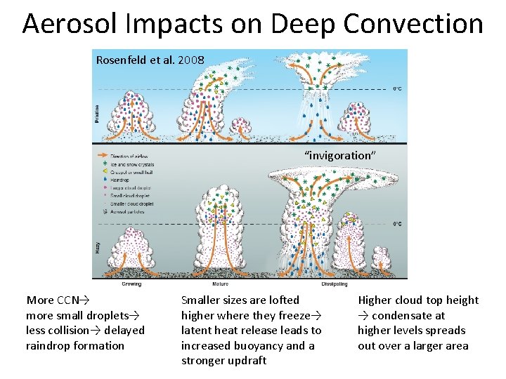 Aerosol Impacts on Deep Convection Rosenfeld et al. 2008 “invigoration” More CCN→ more small