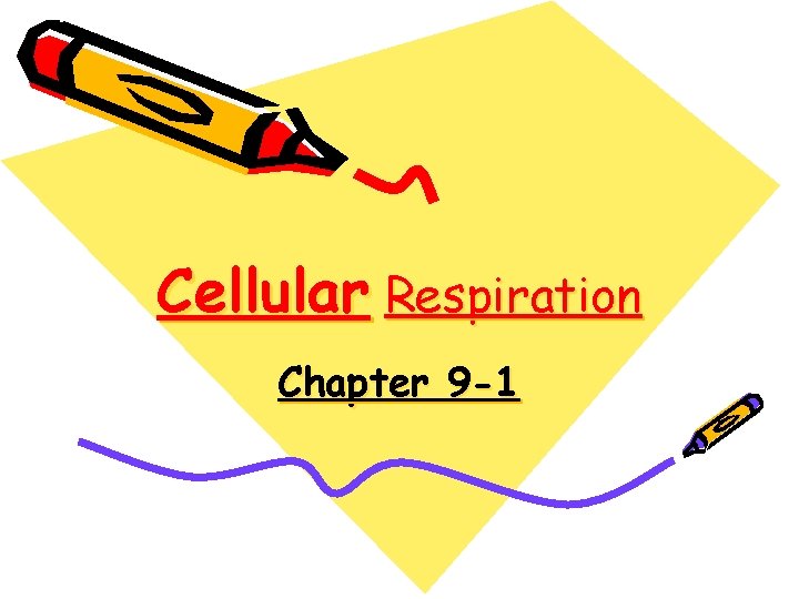 Cellular Respiration Chapter 9 -1 