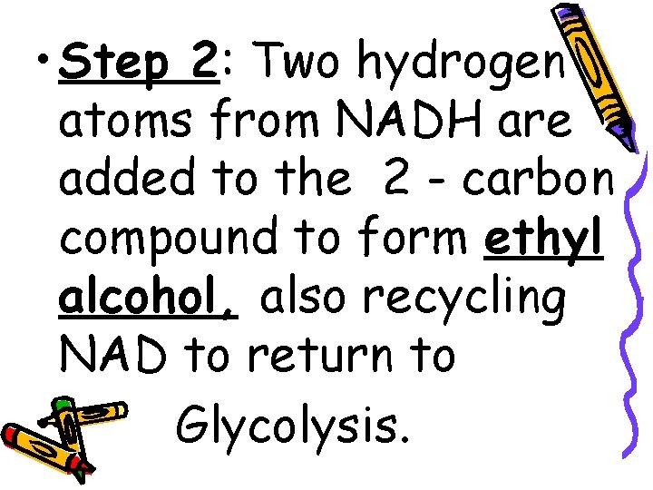  • Step 2: Two hydrogen atoms from NADH are added to the 2