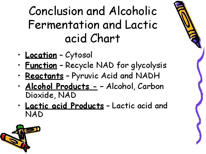 Conclusion and Alcoholic Fermentation and Lactic acid Chart • • Location – Cytosol Function