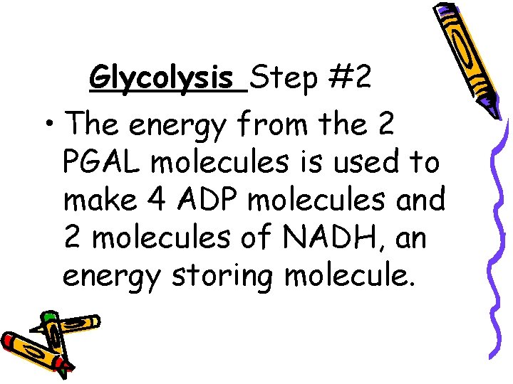 Glycolysis Step #2 • The energy from the 2 PGAL molecules is used to