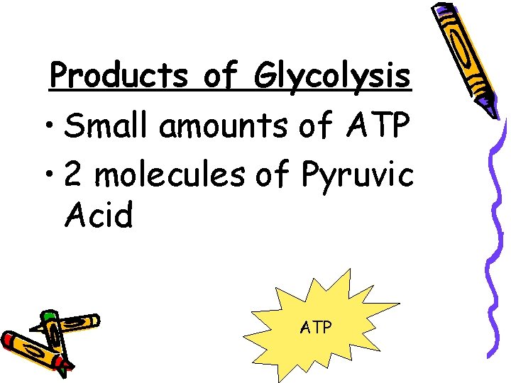 Products of Glycolysis • Small amounts of ATP • 2 molecules of Pyruvic Acid