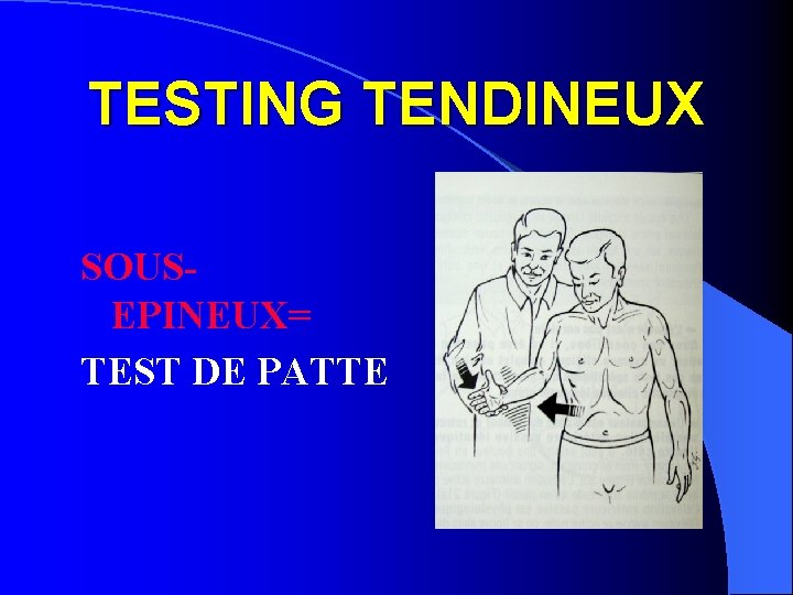 TESTING TENDINEUX SOUSEPINEUX= TEST DE PATTE 