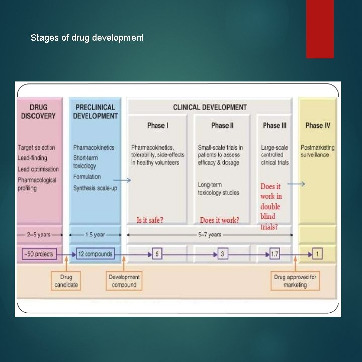 Stages of drug development 