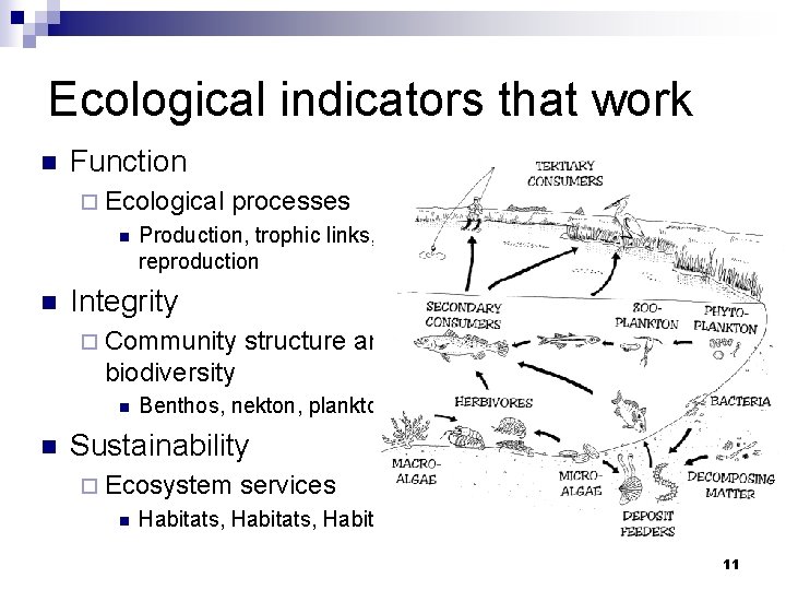 Ecological indicators that work n Function ¨ Ecological n n processes Production, trophic links,