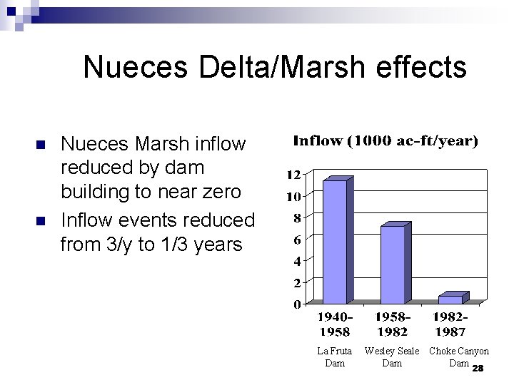 Nueces Delta/Marsh effects n n Nueces Marsh inflow reduced by dam building to near