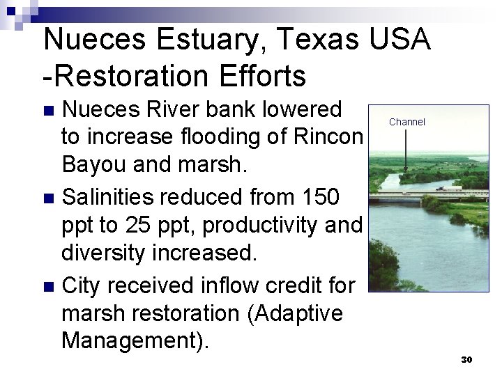 Nueces Estuary, Texas USA -Restoration Efforts Nueces River bank lowered to increase flooding of