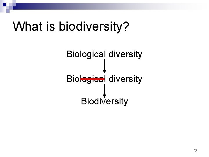 What is biodiversity? Biological diversity Biodiversity 9 