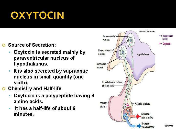OXYTOCIN Source of Secretion: Oxytocin is secreted mainly by paraventricular nucleus of hypothalamus. It