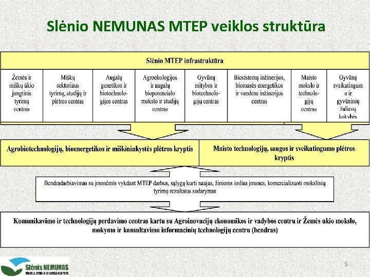 Slėnio NEMUNAS MTEP veiklos struktūra 5 