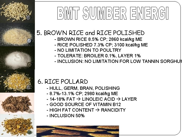 Bahan Pakan Ternak Klasifikasi Bahan Pakan Ternak Energi