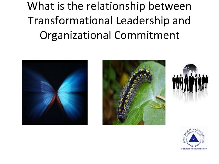 What is the relationship between Transformational Leadership and Organizational Commitment 