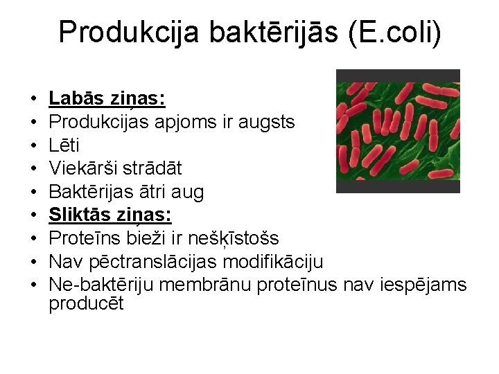 Produkcija baktērijās (E. coli) • • • Labās ziņas: Produkcijas apjoms ir augsts Lēti