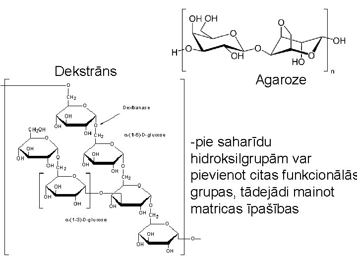 Dekstrāns Agaroze -pie saharīdu hidroksilgrupām var pievienot citas funkcionālās grupas, tādejādi mainot matricas īpašības