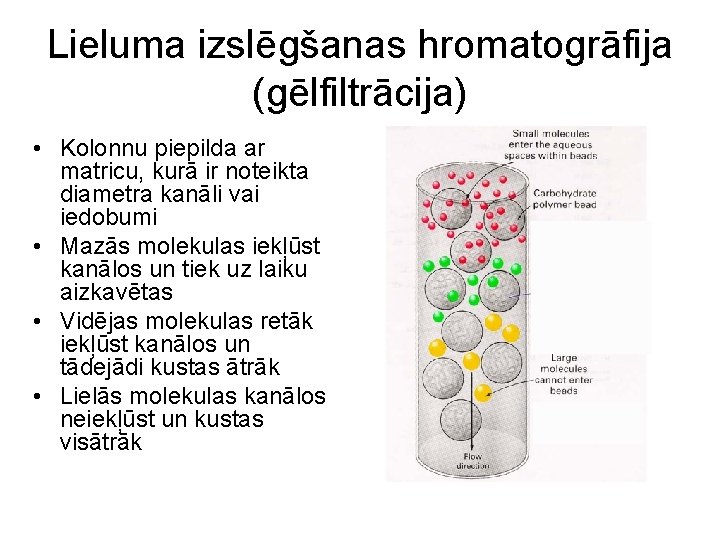 Lieluma izslēgšanas hromatogrāfija (gēlfiltrācija) • Kolonnu piepilda ar matricu, kurā ir noteikta diametra kanāli