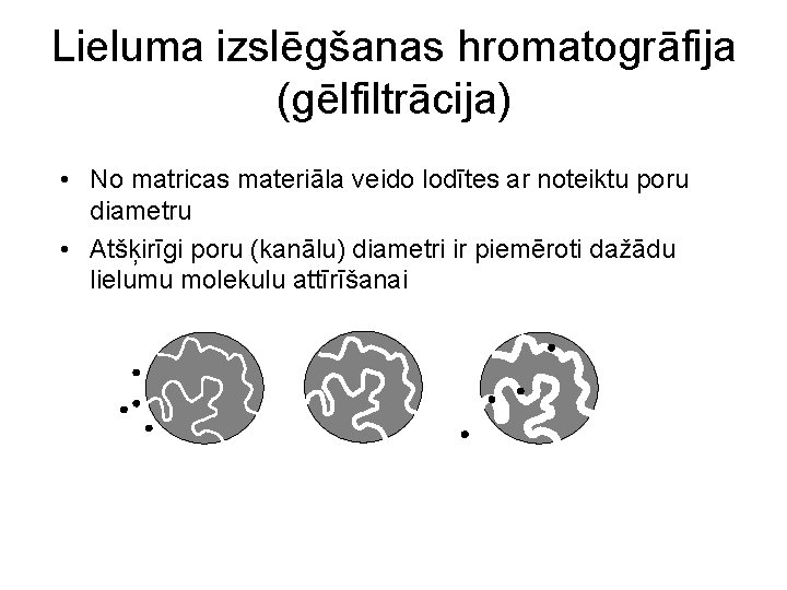 Lieluma izslēgšanas hromatogrāfija (gēlfiltrācija) • No matricas materiāla veido lodītes ar noteiktu poru diametru