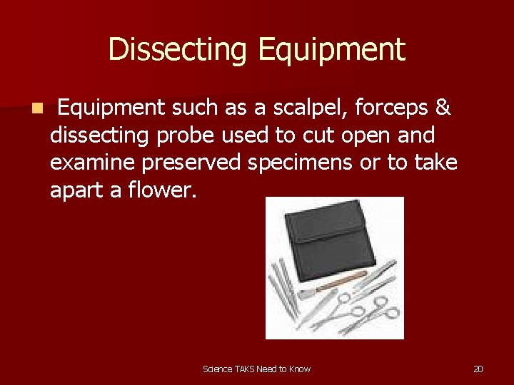 Dissecting Equipment n Equipment such as a scalpel, forceps & dissecting probe used to