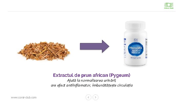 Extractul de prun african (Pygeum) Ajută la normalizarea urinării, are efect antiinflamator, îmbunătățește circulația