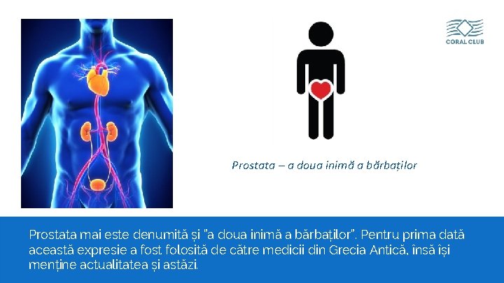 Prostata – a doua inimă a bărbaților Prostata mai este denumită și ”a doua