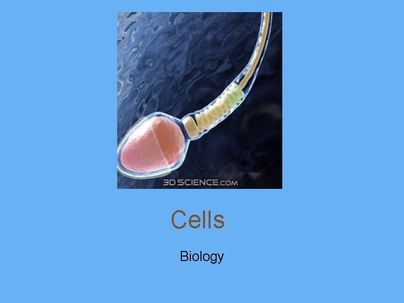 Cells Biology 