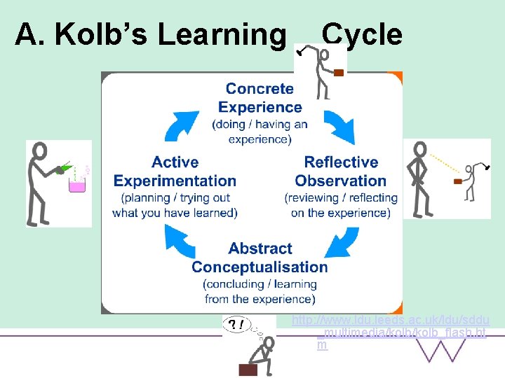 A. Kolb’s Learning Cycle http: //www. ldu. leeds. ac. uk/ldu/sddu _multimedia/kolb_flash. ht m 