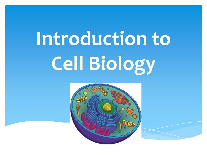 Introduction to Cell Biology 