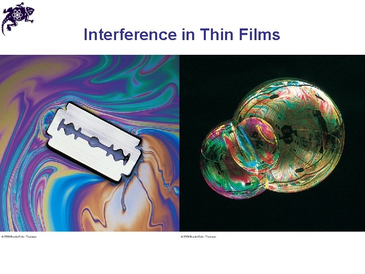 Interference in Thin Films 