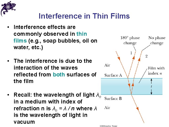 Interference in Thin Films • Interference effects are commonly observed in thin films (e.