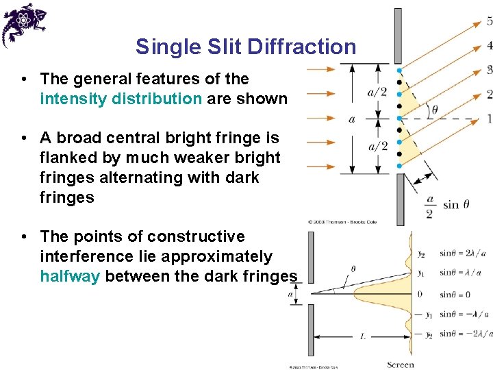 Single Slit Diffraction • The general features of the intensity distribution are shown •