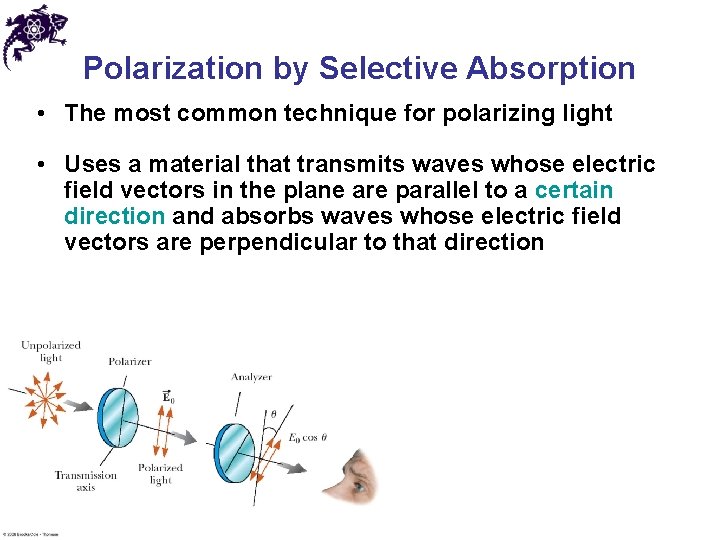 Polarization by Selective Absorption • The most common technique for polarizing light • Uses