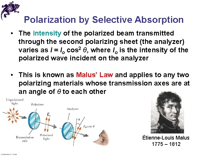 Polarization by Selective Absorption • The intensity of the polarized beam transmitted through the