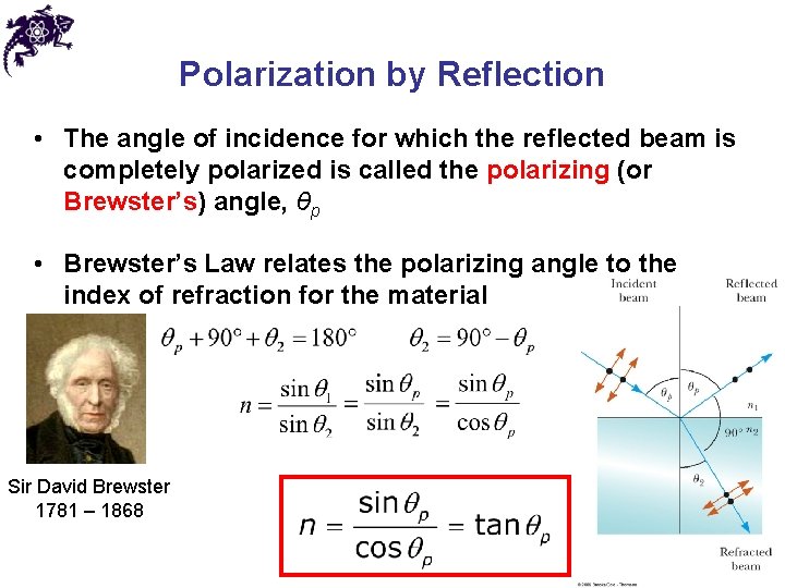 Polarization by Reflection • The angle of incidence for which the reflected beam is