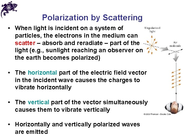 Polarization by Scattering • When light is incident on a system of particles, the