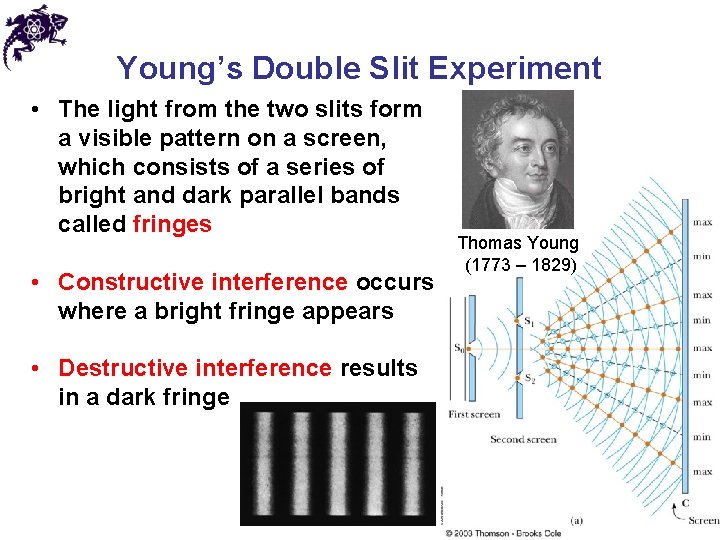 Young’s Double Slit Experiment • The light from the two slits form a visible