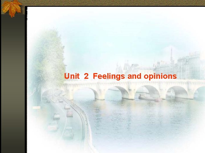 Unit 2 Feelings and opinions 