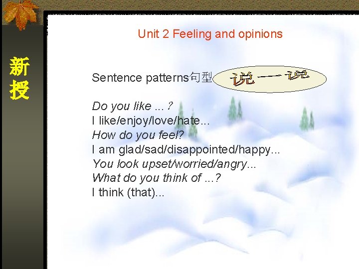 Unit 2 Feeling and opinions 新 授 Sentence patterns句型 Do you like. . .