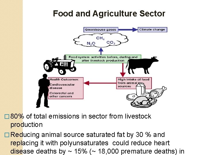 Food and Agriculture Sector � 80% of total emissions in sector from livestock production