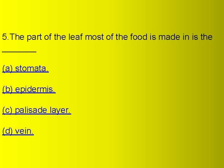 5. The part of the leaf most of the food is made in is