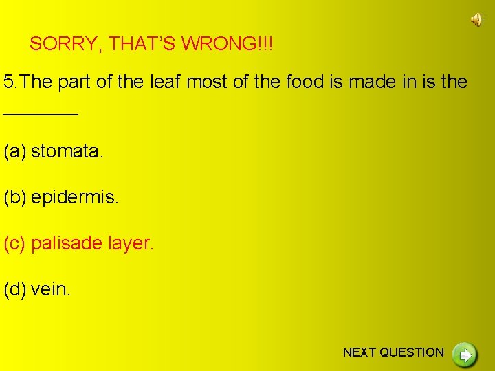 SORRY, THAT’S WRONG!!! 5. The part of the leaf most of the food is