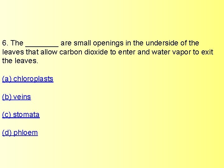 6. The ____ are small openings in the underside of the leaves that allow