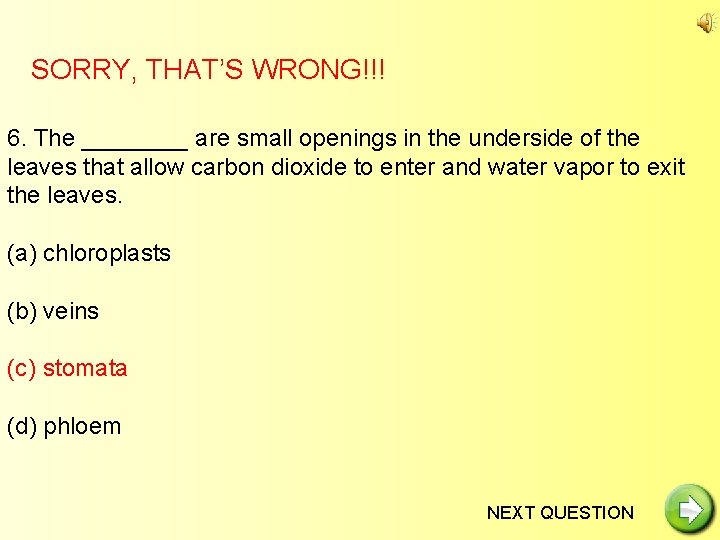 SORRY, THAT’S WRONG!!! 6. The ____ are small openings in the underside of the