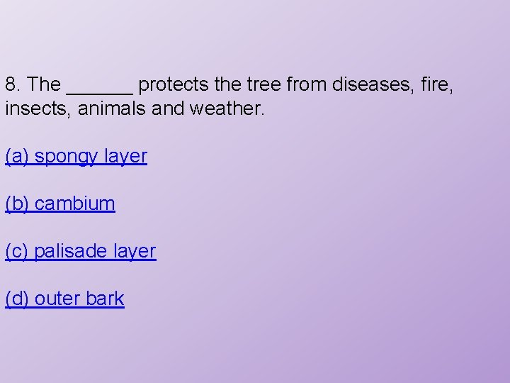 8. The ______ protects the tree from diseases, fire, insects, animals and weather. (a)