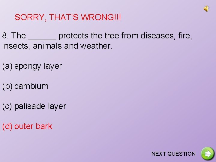 SORRY, THAT’S WRONG!!! 8. The ______ protects the tree from diseases, fire, insects, animals